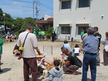 国指定天然記念物　山陰柴犬鑑賞会2
