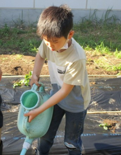 水やりをしている写真