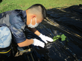 苗植えをしている写真