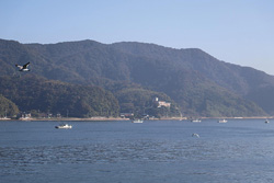 境港の写真1