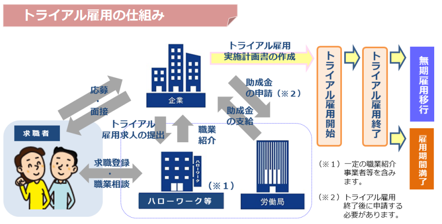 トライアル雇用助成金（一般トライアルコース）の画像