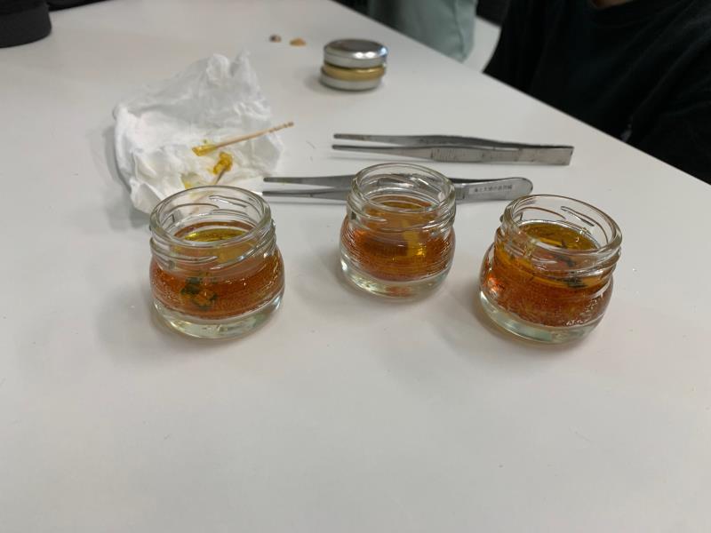 琥珀標本
