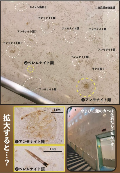 講座イメージ