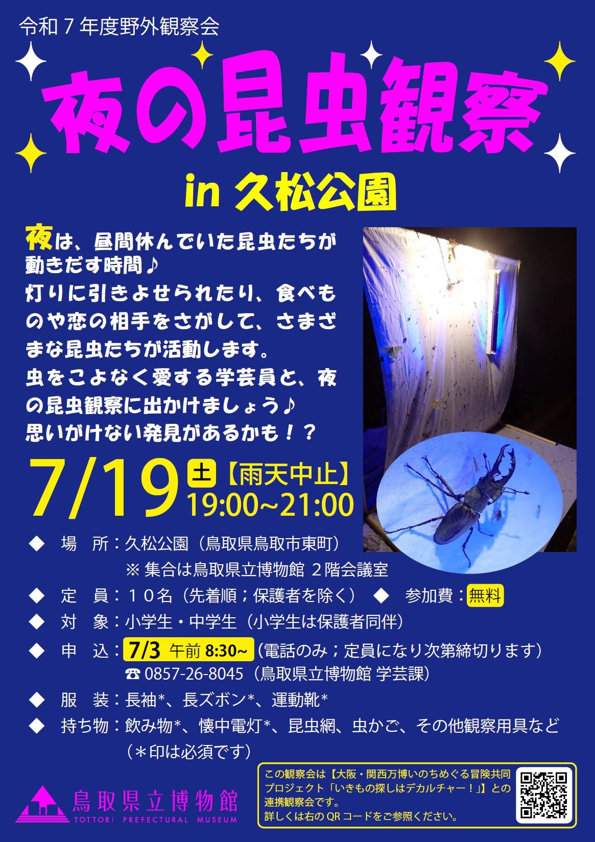 チラシ