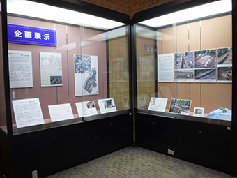 企画展「ここまでわかった!!古海36号墳」