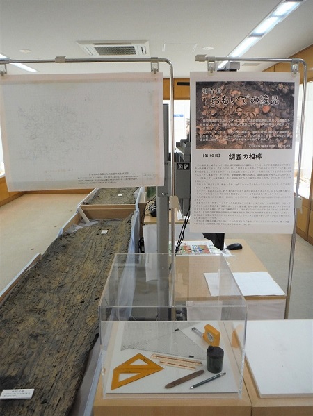 展示の様子