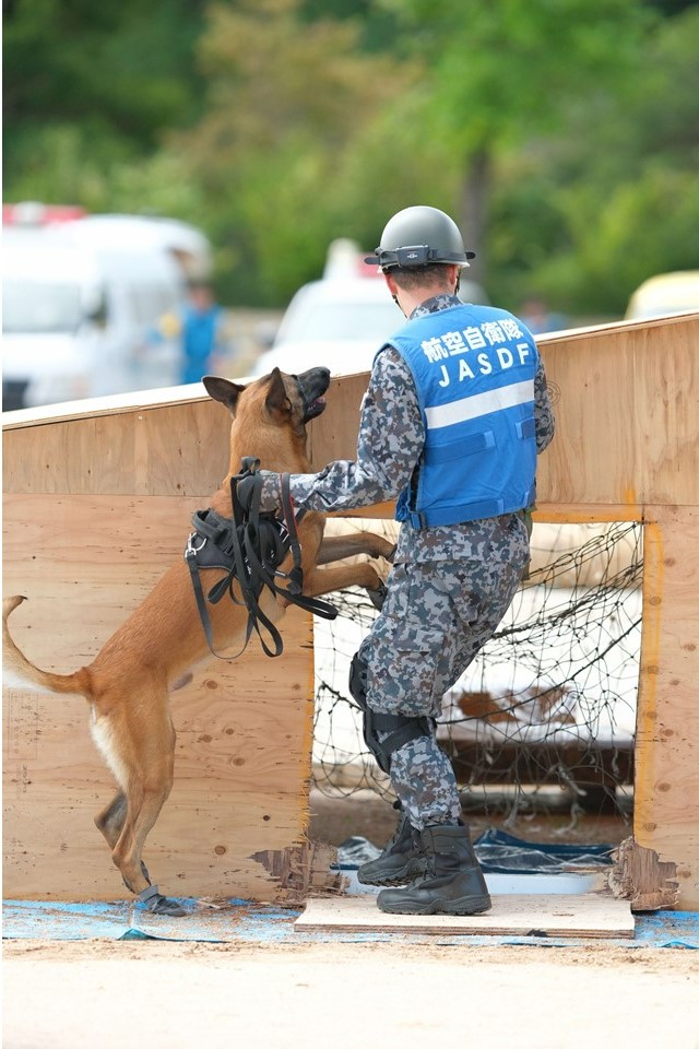 警備犬