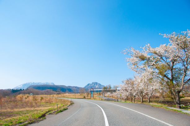 かさらばらの開けた風景
