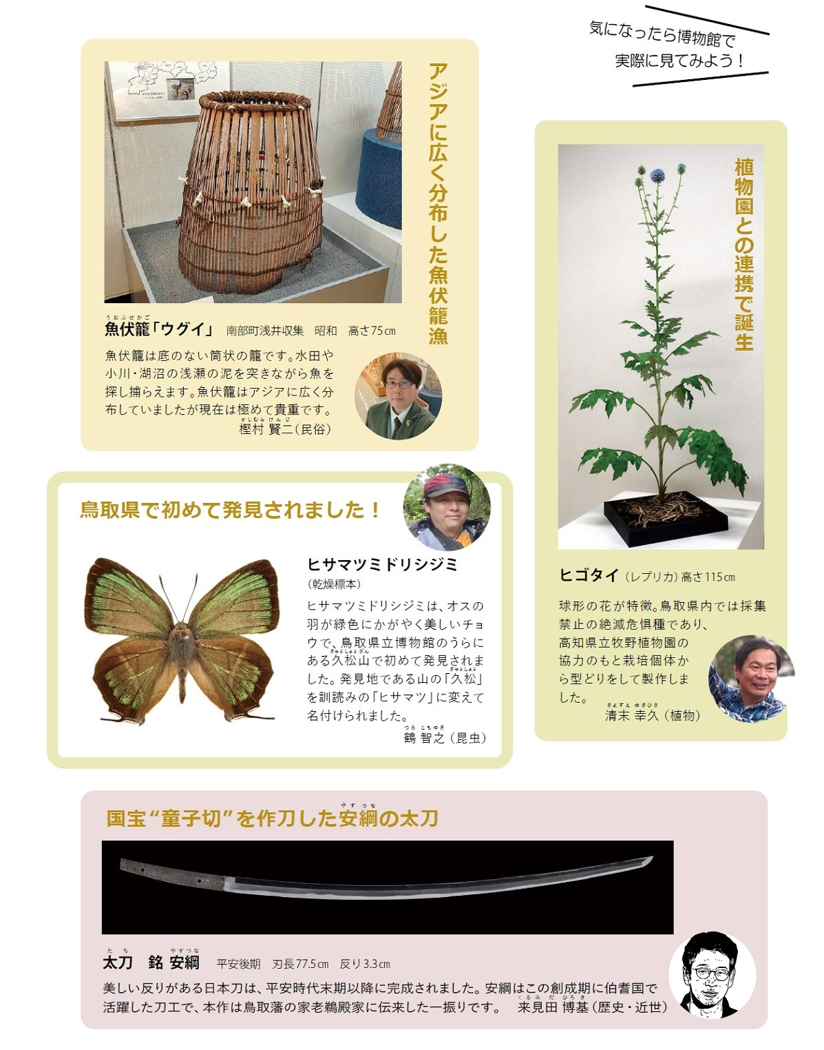 5ページ