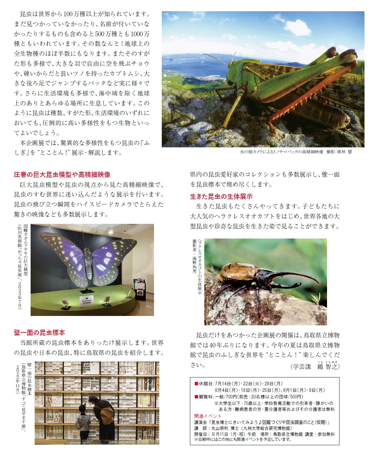 7ページ