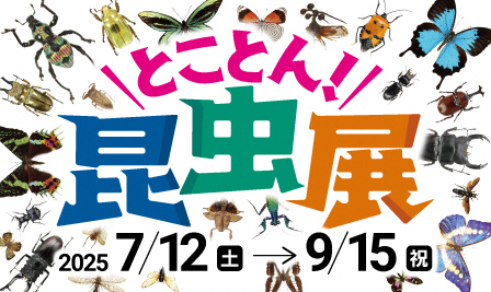 とことん！昆虫展 