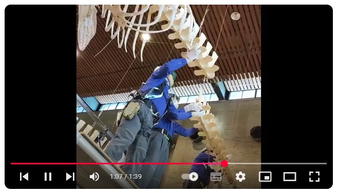 youtubeへのリンク