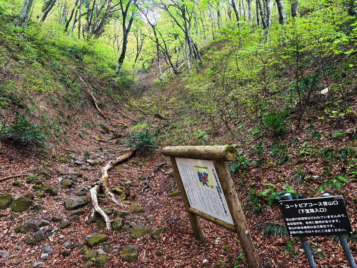 登山口