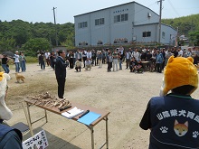 国指定天然記念物　山陰柴犬鑑賞会1