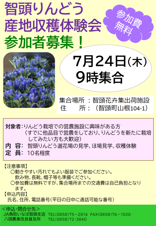 智頭りんどう産地体験会チラシ
