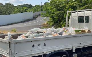 駆除成果写真
