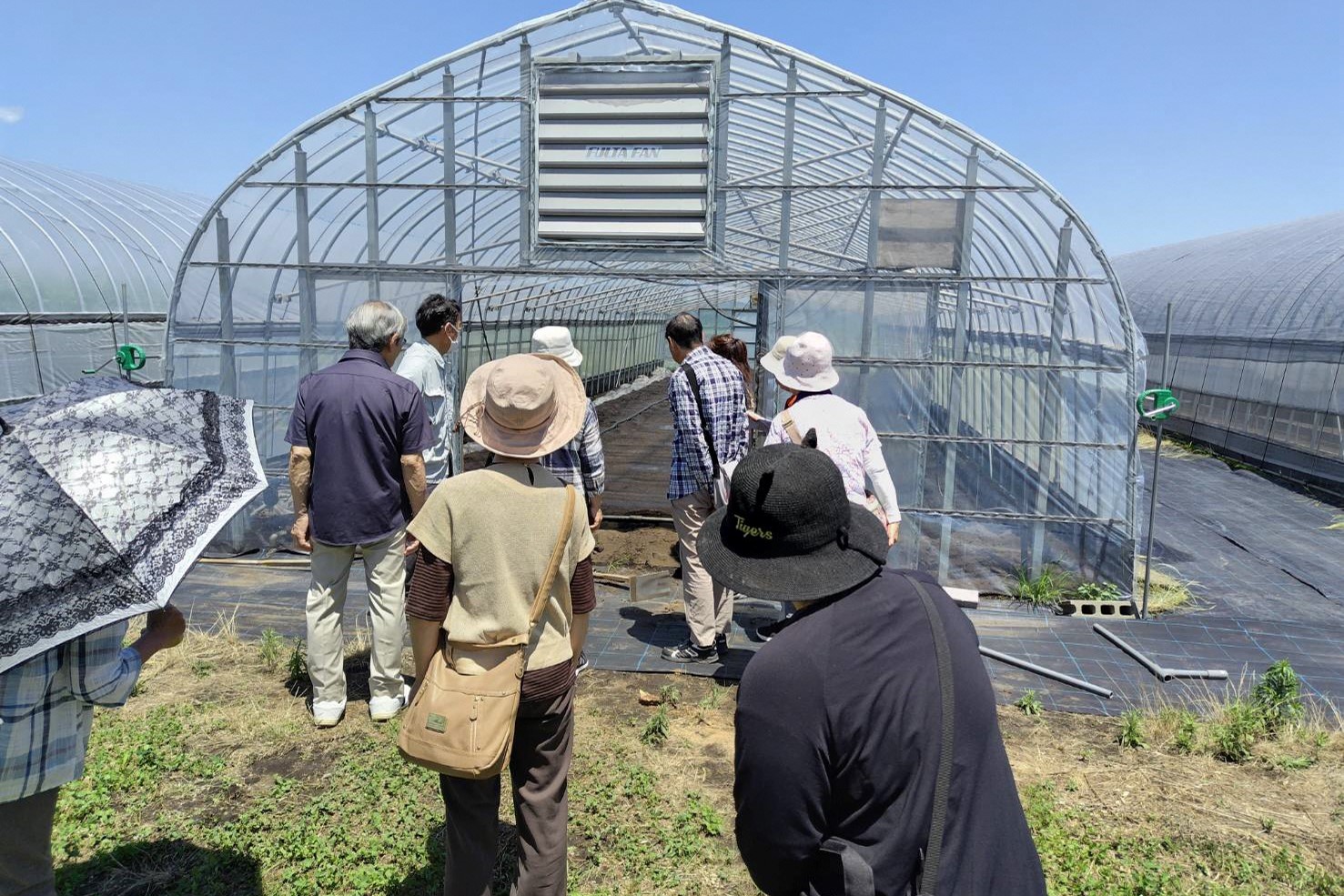 還元土壌消毒について説明をしています。