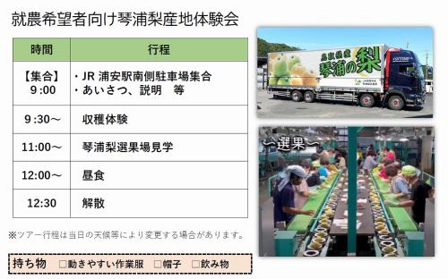 琴浦梨体験会スケジュール