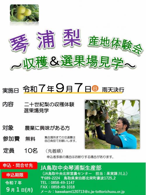琴浦梨収穫体験会チラシ