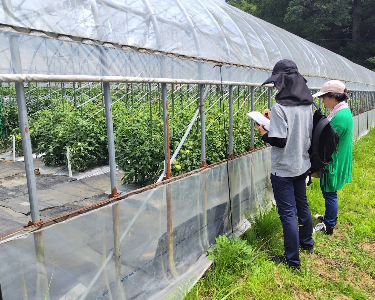 研修生がメモを取っています。トマトの仕立て方に興味があったようです。