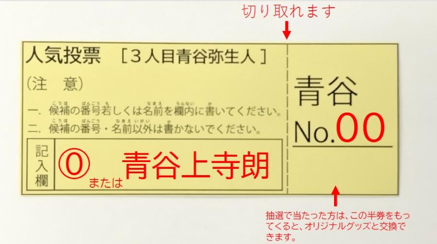 投票用紙記入例