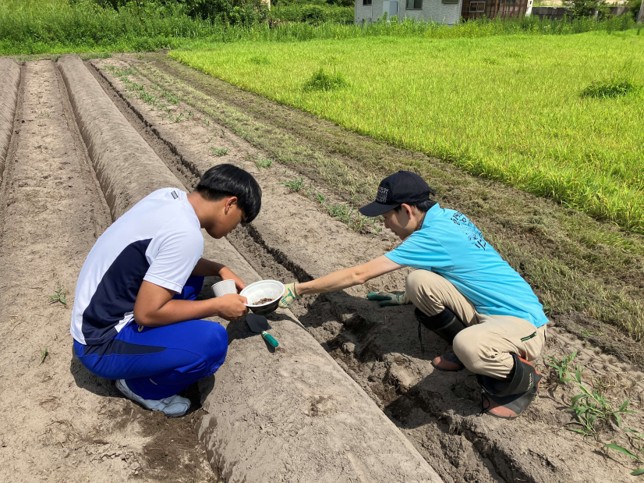 ひまわり種植えの様子