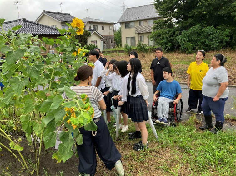 ひまわり開花式の様子