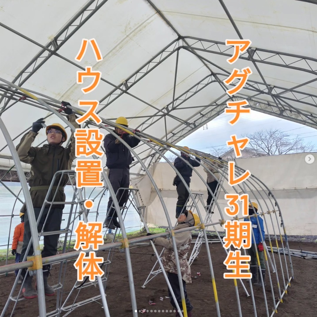 パイプハウスの設置・解体訓練