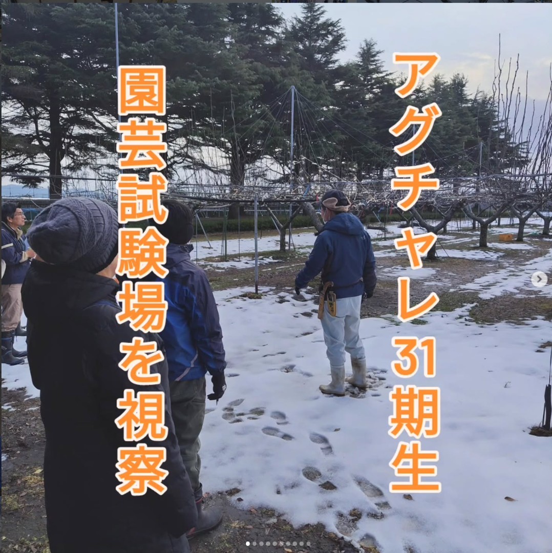 園芸試験場へ校外視察