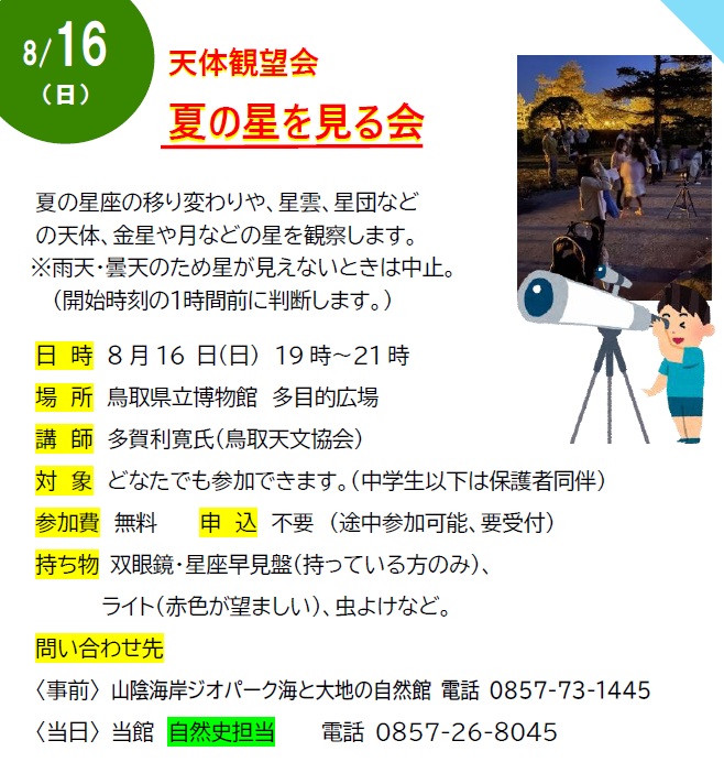 チラシ