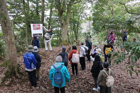 秀吉本陣での解説