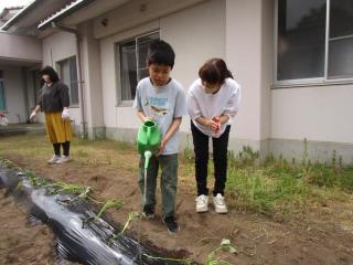 水やり