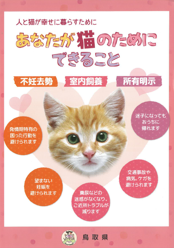 あなたが猫のためにできること