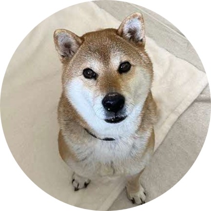 アミ