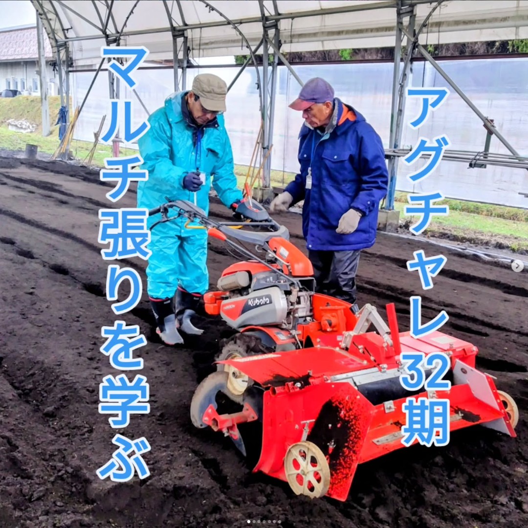 マルチの張り方