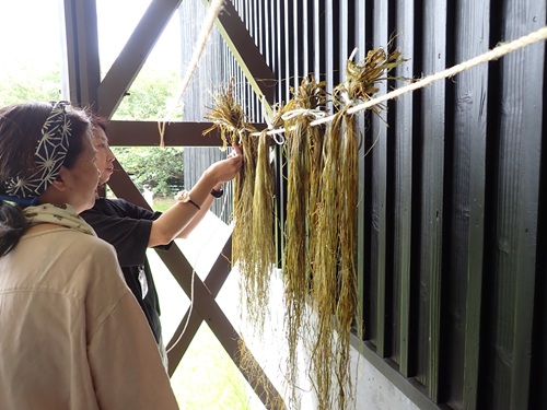 繊維を干している様子
