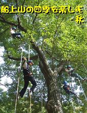 秋の船上山で木登りを楽しむ様子