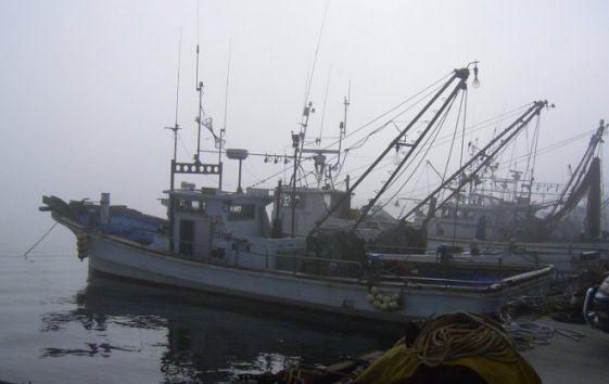 漁船の写真