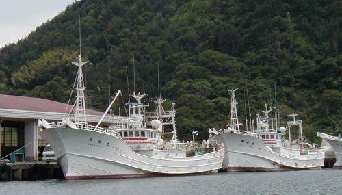 漁船の写真
