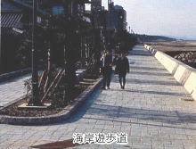 海岸散歩道