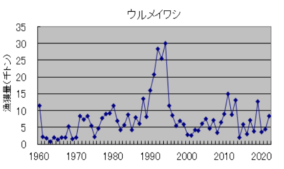 ウルメイワシ