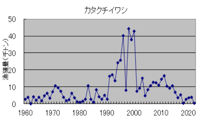 カタクチイワシ