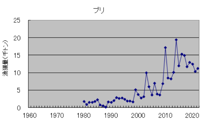 ブリ