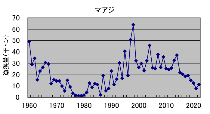 マアジ