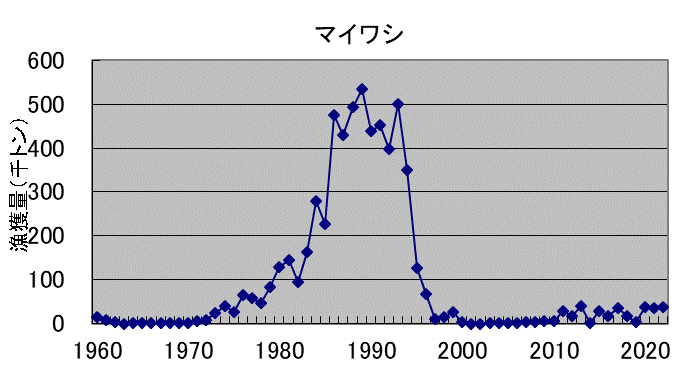 マイワシ