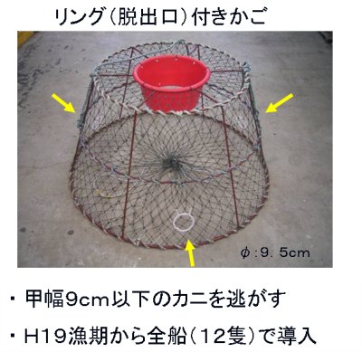 リング付き篭