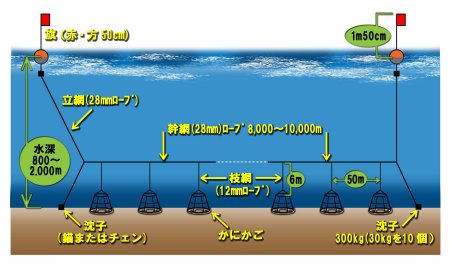 かにかご