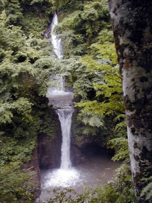 大山滝の写真