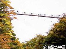大山滝吊橋の写真
