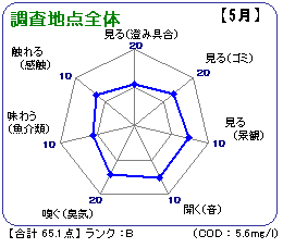 調査地点全体(5月)